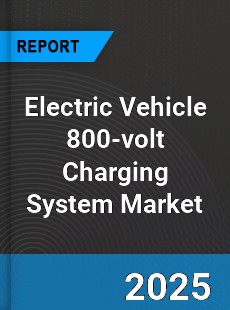 Electric Vehicle 800 volt Charging System Global and China Top Players Market