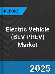 Global Electric Vehicle Industry