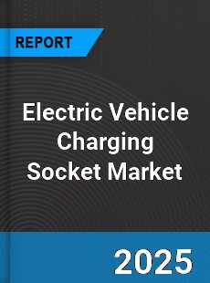 Electric Vehicle Charging Socket Global and China Top Players Market