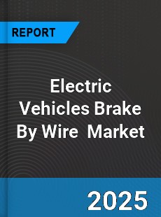 Global Electric Vehicles Brake By Wire Industry