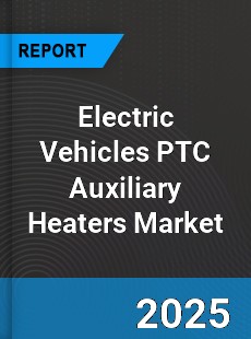 Electric Vehicles PTC Auxiliary Heaters Global and China Top Players Market