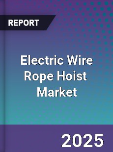 Global Electric Wire Rope Hoist Market