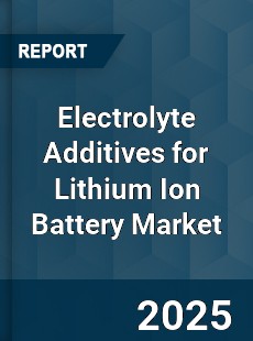 Global Electrolyte Additives for Lithium Ion Battery Market