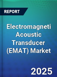 Global Electromagneti Acoustic Transducer Market
