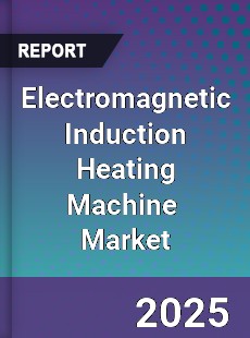 Electromagnetic Induction Heating Machine Global and China Top Players Market