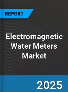 Global Electromagnetic Water Meters Industry