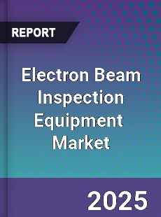 Global Electron Beam Inspection Equipment Industry