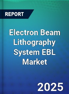 Global Electron Beam Lithography System EBL Professional Survey Report