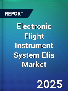 Worldwide Electronic Flight Instrument System Efis Market