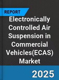 Global Electronically Controlled Air Suspension in Commercial Vehicles Industry