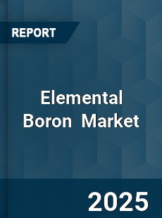 Global Elemental Boron Professional Survey Report