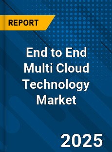 Global End to End Multi Cloud Technology Market