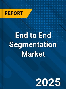 Global End to End Segmentation Market