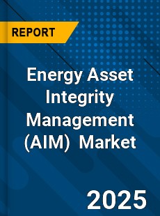 Global Energy Asset Integrity Management Industry