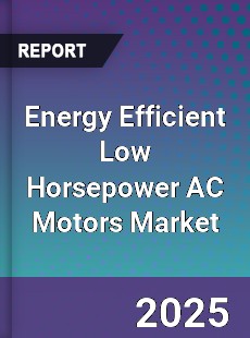 Global Energy Efficient Low Horsepower AC Motors Market