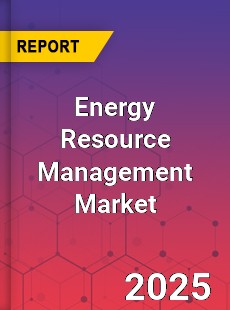 Energy Resource Management Global and China Top Players Market