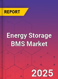 Global Energy Storage BMS Market