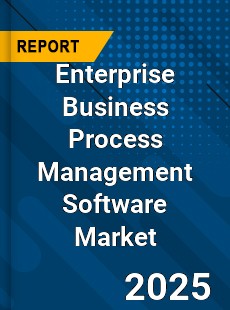 Global Enterprise Business Process Management Software Market