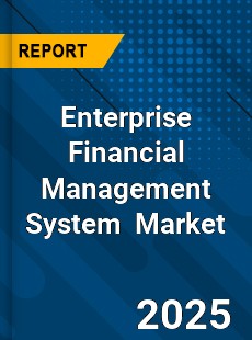 Global Enterprise Financial Management System Industry