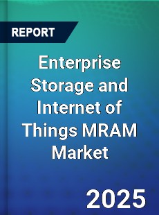 Enterprise Storage and Internet of Things MRAM Market