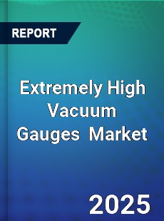 Global Extremely High Vacuum Gauges Industry
