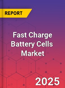Global Fast Charge Battery Cells Industry
