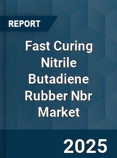 Worldwide Fast Curing Nitrile Butadiene Rubber Nbr Market