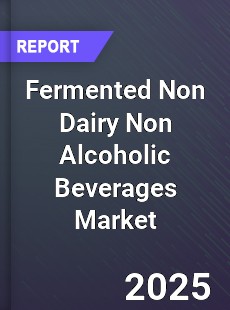 Fermented Non Dairy Non Alcoholic Beverages Global Market