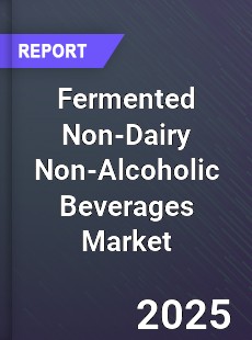 Global Fermented Non Dairy Non Alcoholic Beverages Market