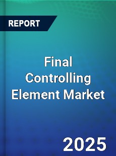 Global Final Controlling Element Market