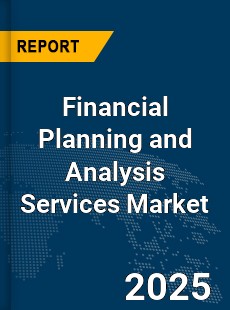 Global Financial Planning and Analysis
