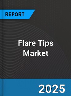 Flare Tips Market Opportunities Challenges Strategies & Forecasts