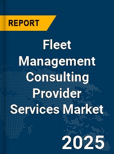 Global Fleet Management Consulting Provider Services Market