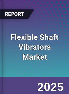 Flexible Shaft Vibrators Market