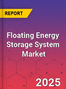Global Floating Energy Storage System Industry