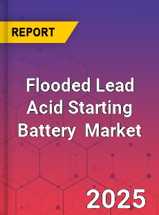 Global Flooded Lead Acid Starting Battery Industry