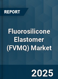 Fluorosilicone Elastomer Market