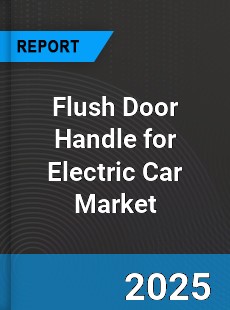 Global Flush Door Handle for Electric Car Market
