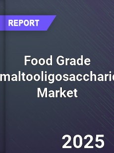 Food Grade Isomaltooligosaccharides Market