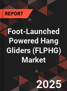 Foot Launched Powered Hang Gliders Global and China Top Players Market