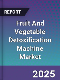 Global Fruit And Vegetable Detoxification Machine Market