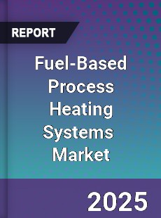 Global Fuel based Process Heating Systems Industry