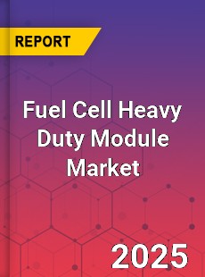 Fuel Cell Heavy Duty Module Global and China Top Players Market