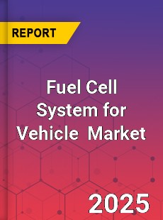 Fuel Cell System for Vehicle Global and China Top Players Market