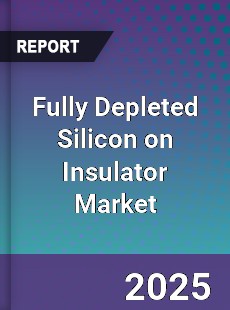 Report on Global Fully Depleted Silicon on Insulator