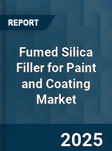 Fumed Silica Filler for Paint and Coating Market