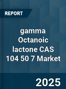 Global gamma Octanoic lactone CAS 104 50 7 Industry