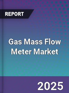 Gas Mass Flow Meter Market