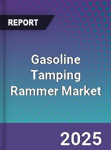 Gasoline Tamping Rammer Market