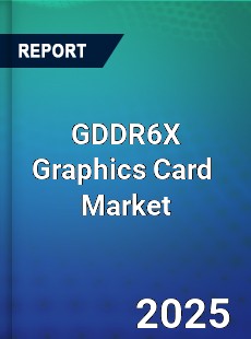 Global GDDR6X Graphics Card Industry